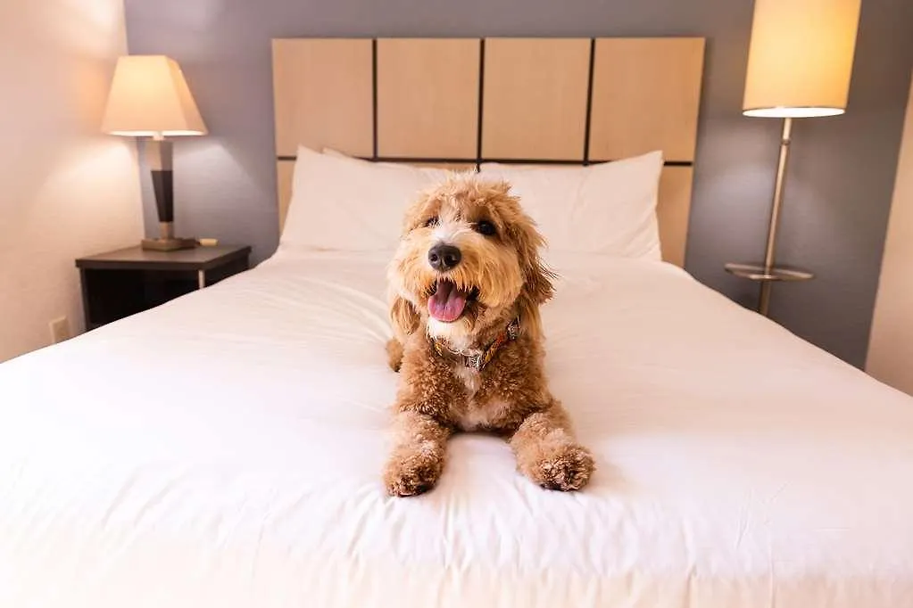 Sonesta Simply Suites Phoenix Tempe Stati Uniti